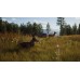 Way of the Hunter (PS5), 114866, Приключения/экшен